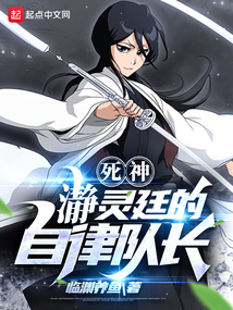 Bleach: Seireitei's self-disciplined captain